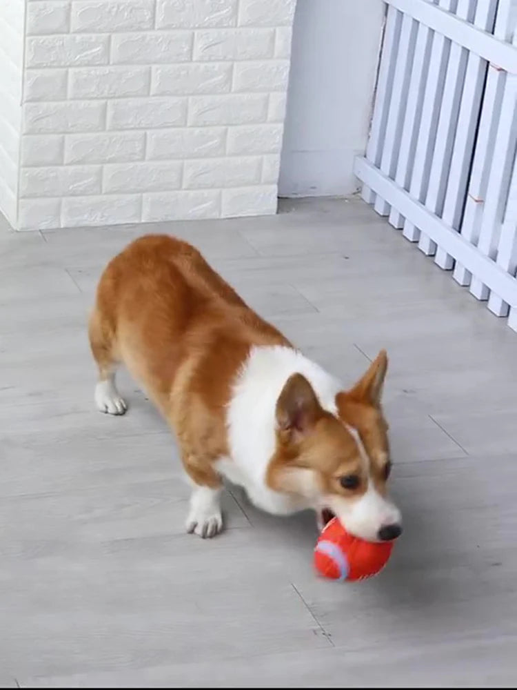 Pet Interactive Dog Toys
