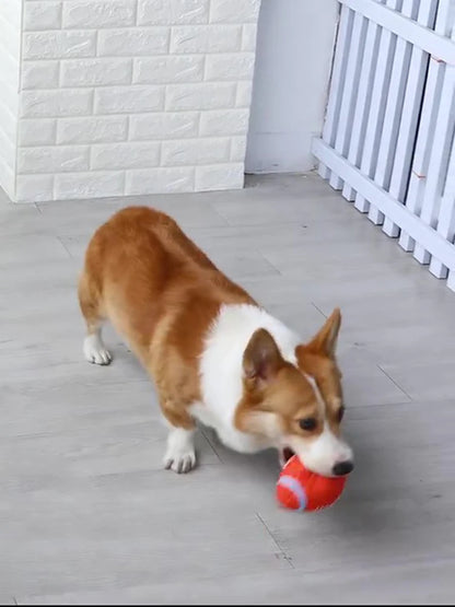 Pet Interactive Dog Toys