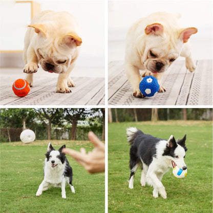 Pet Interactive Dog Toys